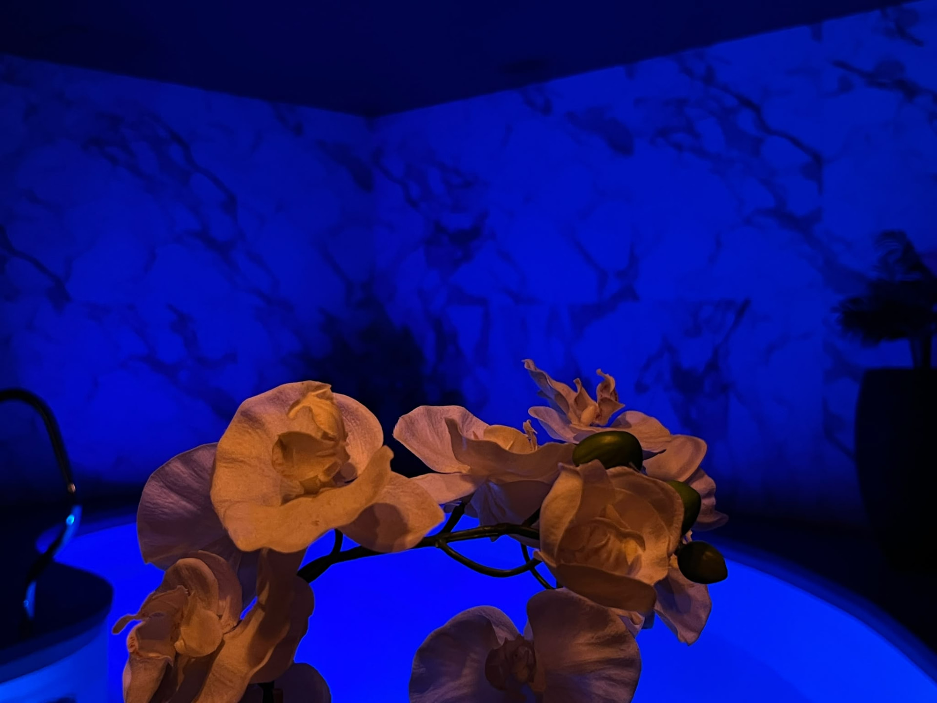 Privé sauna vlakbij Deurne